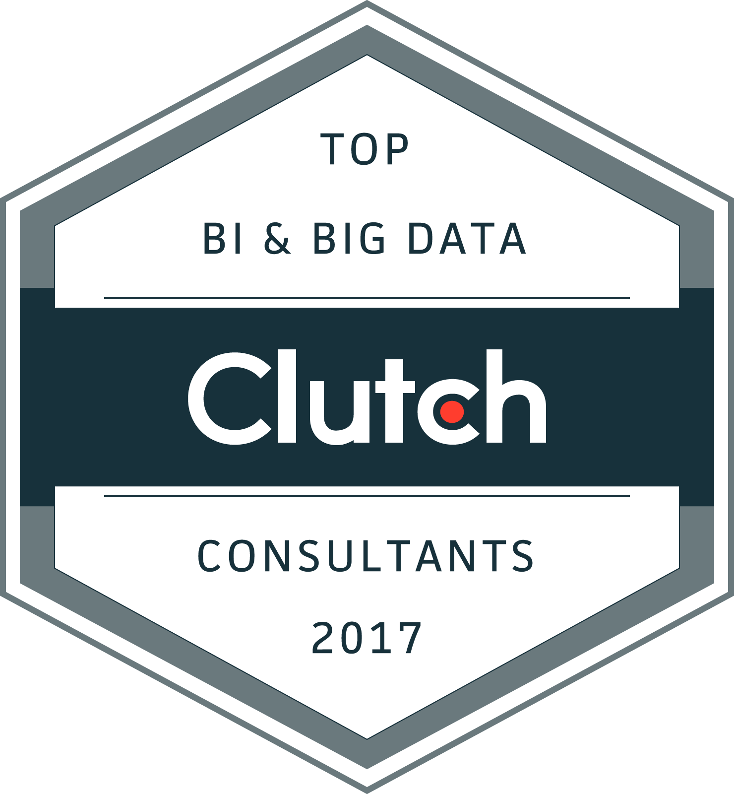 Clutch Top Big Data Company 2019