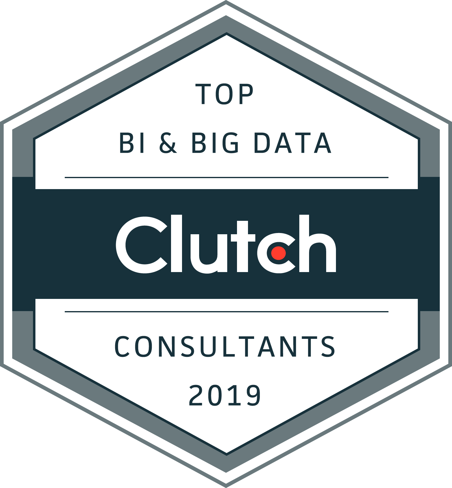 Clutch Top Big Data Company 2019